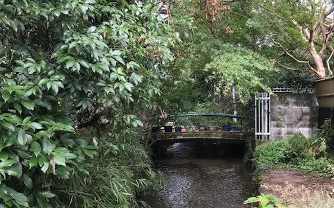 <SOLD> Land with a natural stream in south of Takaragaike Kyoto