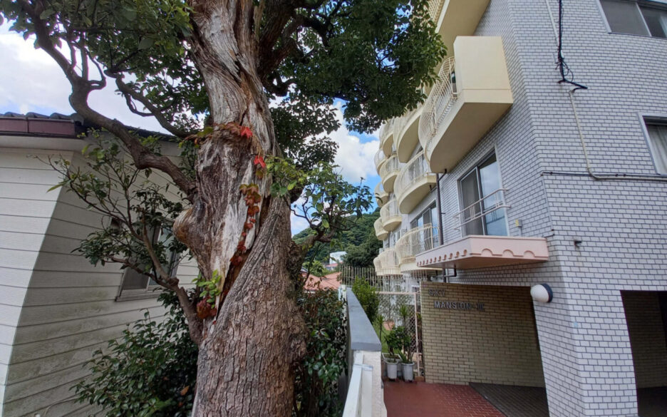 Spacious 173.5 sqm Western-Style 3LDK Apartment on the hillside of Kitano