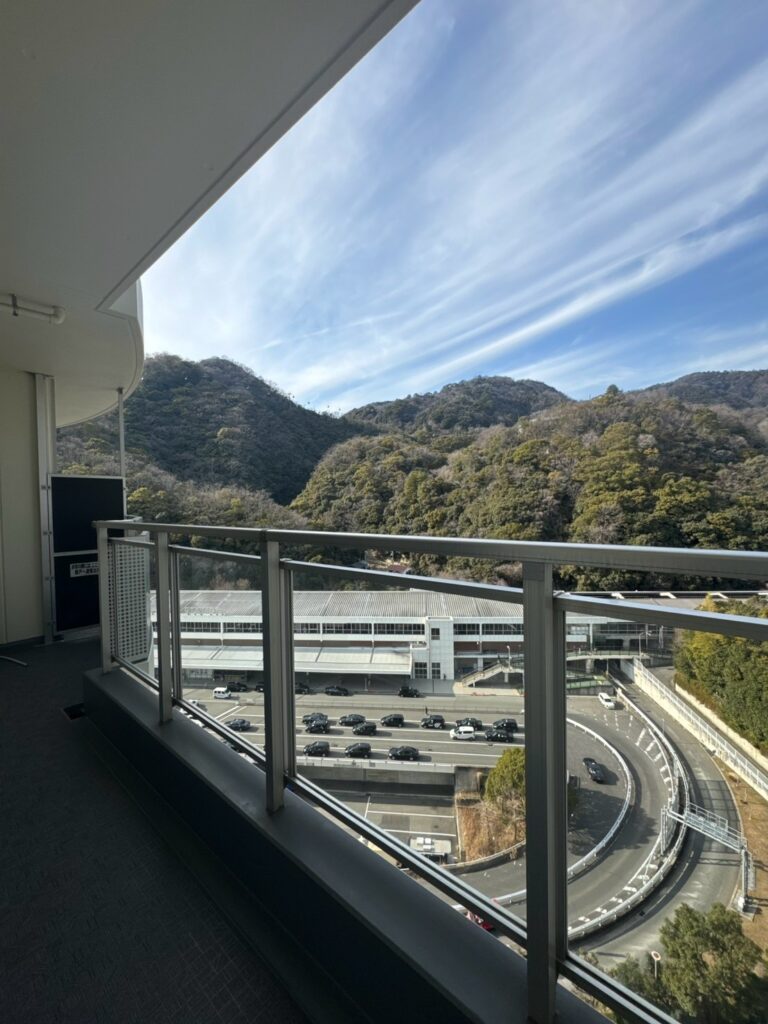 View from the balcony