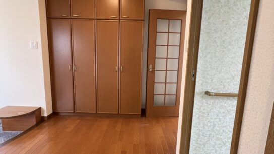 Shoebox/storage by the entrance