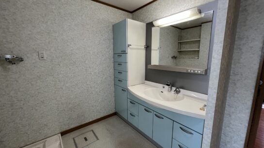 Laundry + Vanity