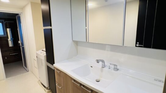 Bathroom - vanity