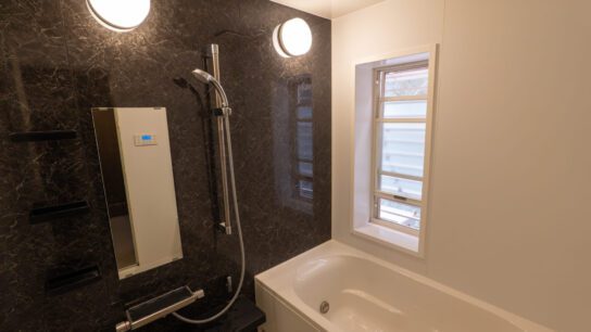 Main house bathroom