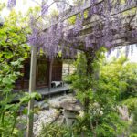 Cottage's garden