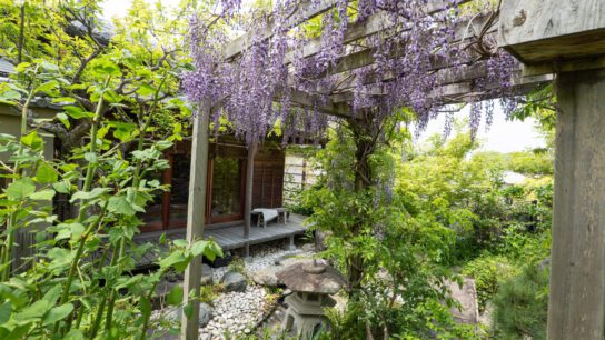 Cottage's garden