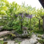 Cottage's garden