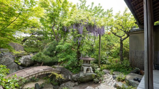 Cottage's garden
