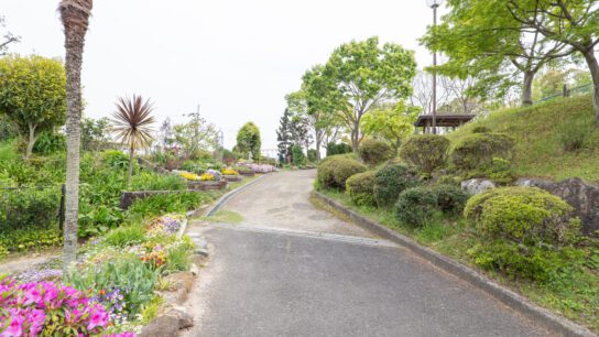 Park