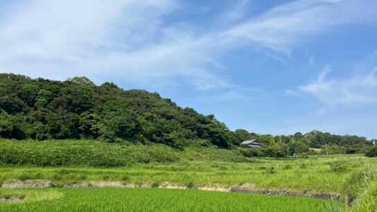 Surrounding