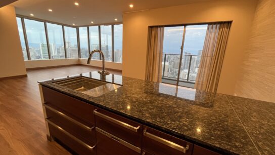 LDK - Kitchen