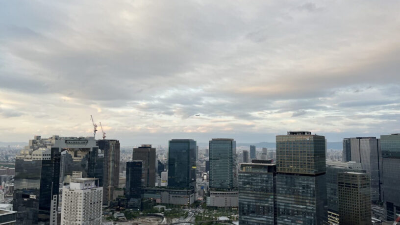View