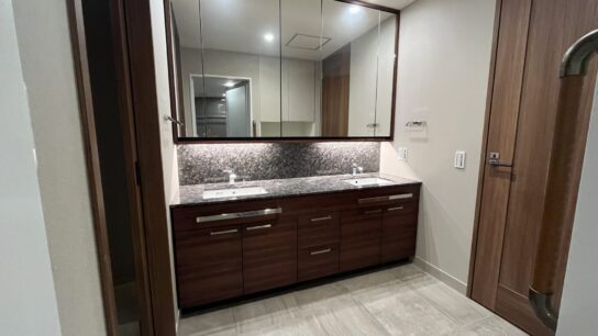 Double sink vanity