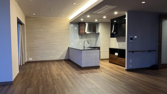 LDK - Kitchen