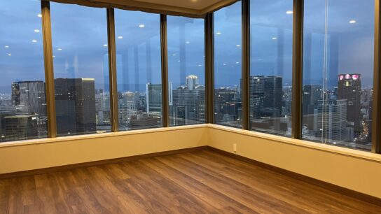 Living room - View