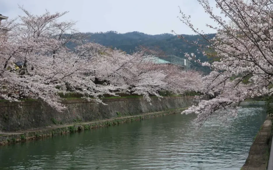 Shogoin Heritage Townhouse — A Strategic Kyoto Investment with Exceptional Upside